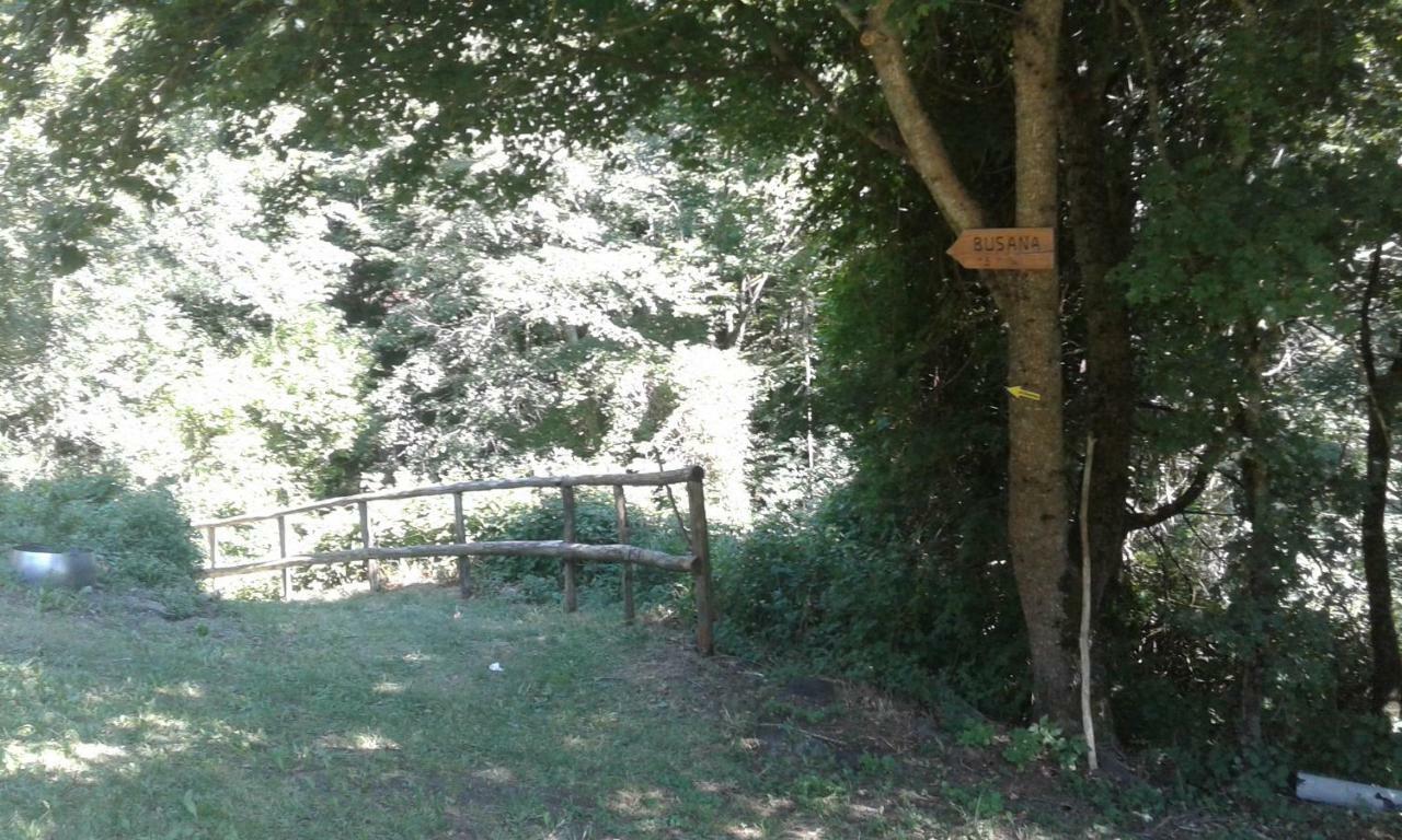Agriturismo Rio Ricco Busana Экстерьер фото
