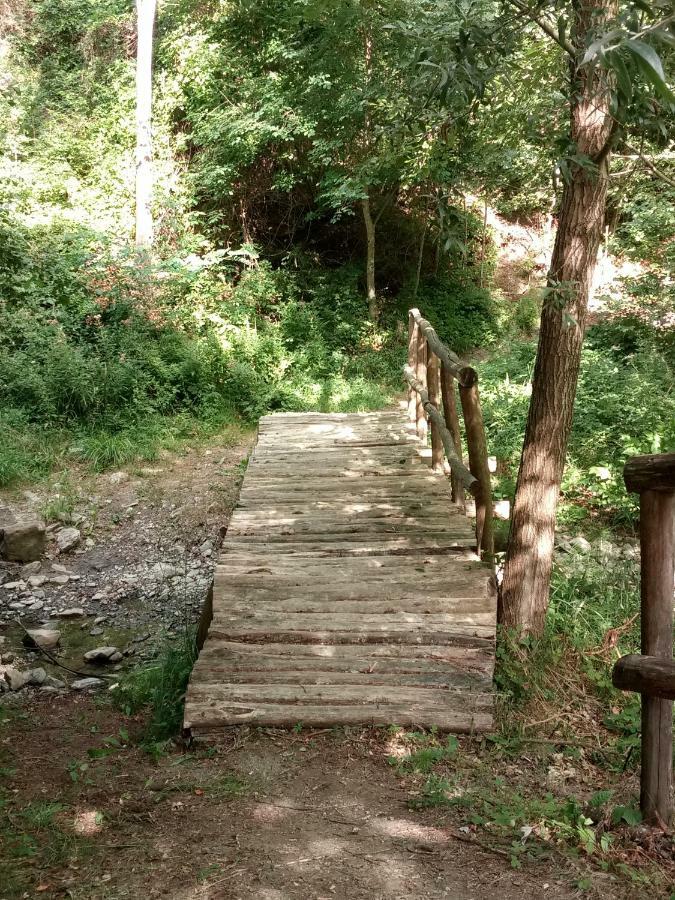 Agriturismo Rio Ricco Busana Экстерьер фото
