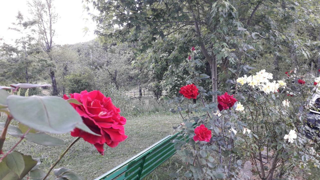 Agriturismo Rio Ricco Busana Экстерьер фото